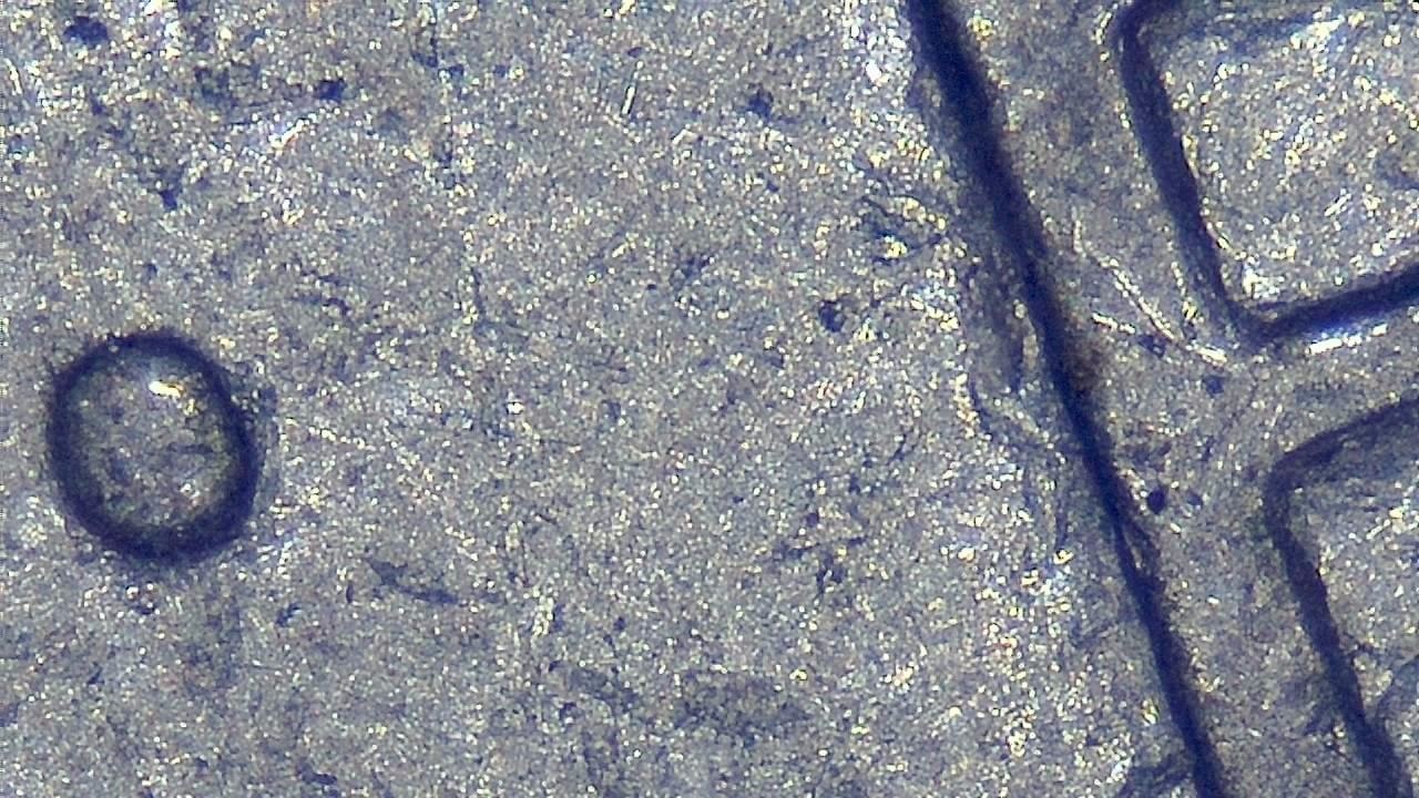 Jewelry Inspection and Detail Documentation microscopy sample image 14