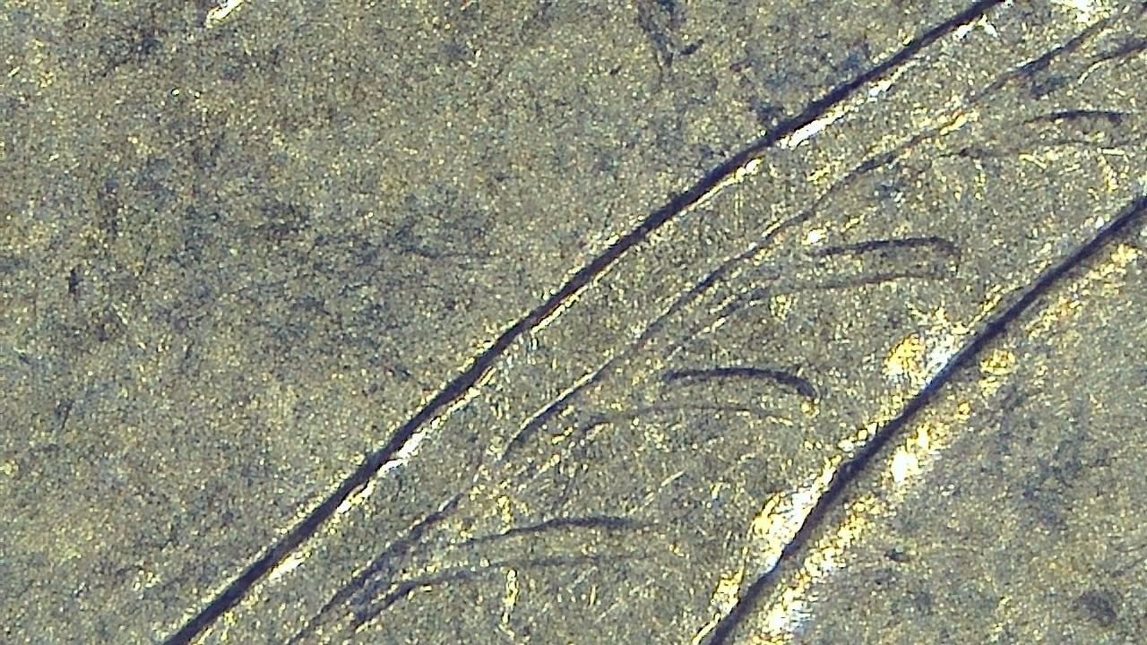 Jewelry Inspection and Detail Documentation microscopy sample image 21