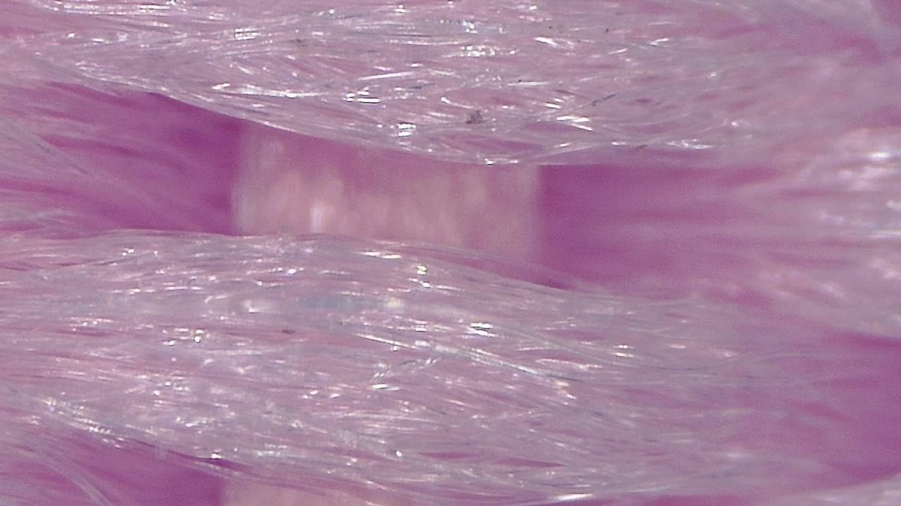 Textile and Fiber Inspection microscopy sample image 1