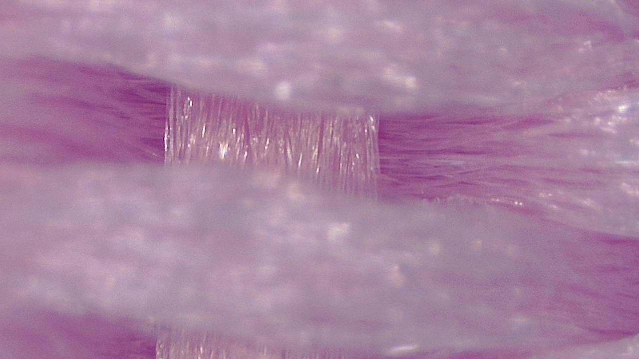 Textile and Fiber Inspection microscopy sample image 2