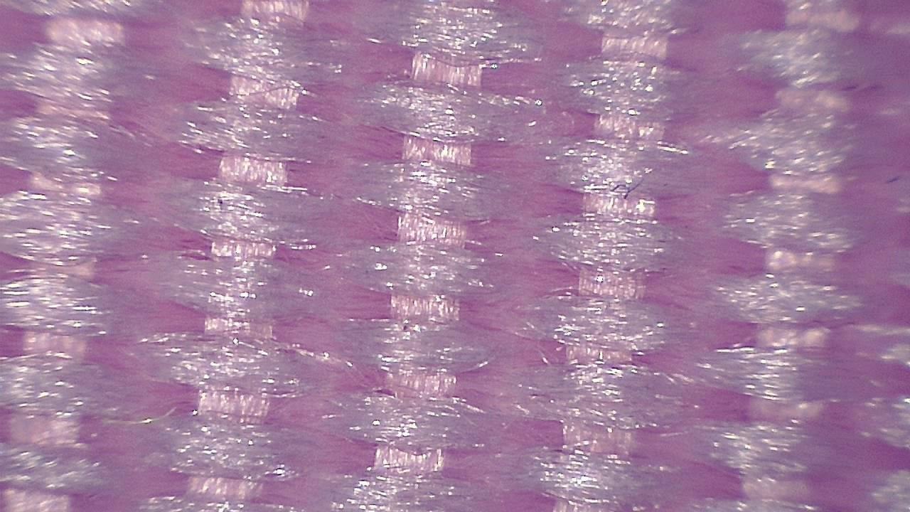 Textile and Fiber Inspection microscopy sample image 3