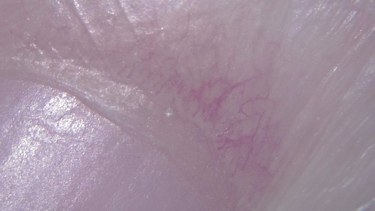 STEM Classrooms and Teaching Labs microscopy sample image 18