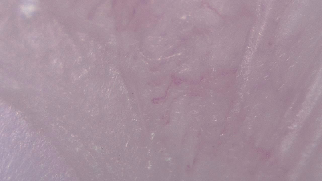 STEM Classrooms and Teaching Labs microscopy sample image 20