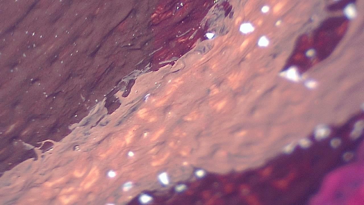 Restoration and Conservation microscopy sample image 1