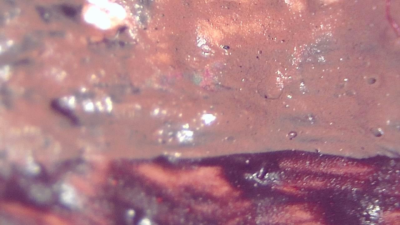 Restoration and Conservation microscopy sample image 3