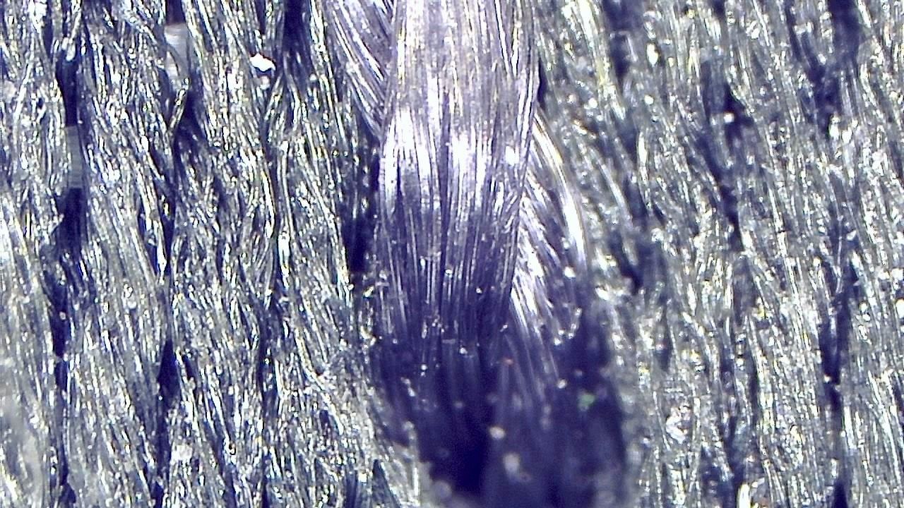 Textile and Fiber Inspection microscopy sample image 5