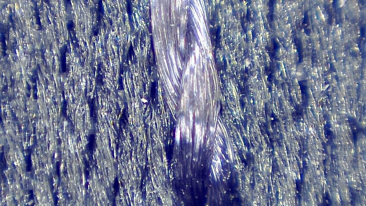 Textile and Fiber Inspection microscopy sample image 6