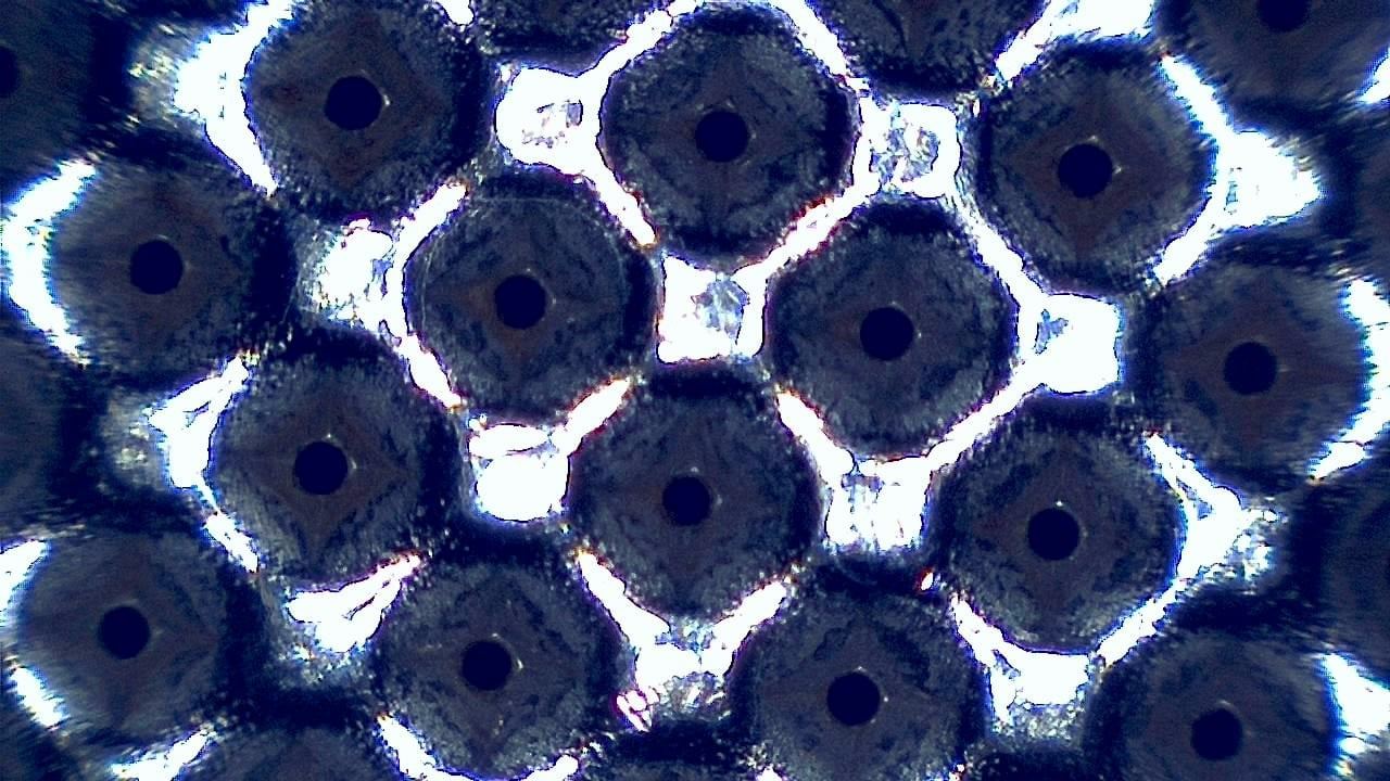 Quality Control and Visual Inspection microscopy sample image 4