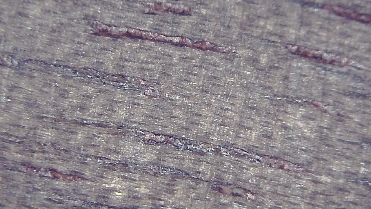 Quality Control and Visual Inspection microscopy sample image 13