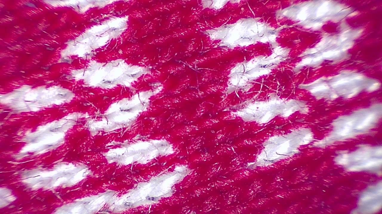 Textile and Fiber Inspection microscopy sample image 11