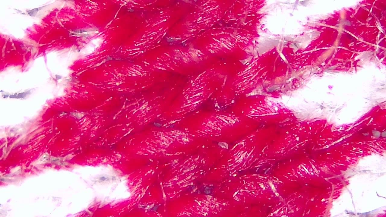 Textile and Fiber Inspection microscopy sample image 13