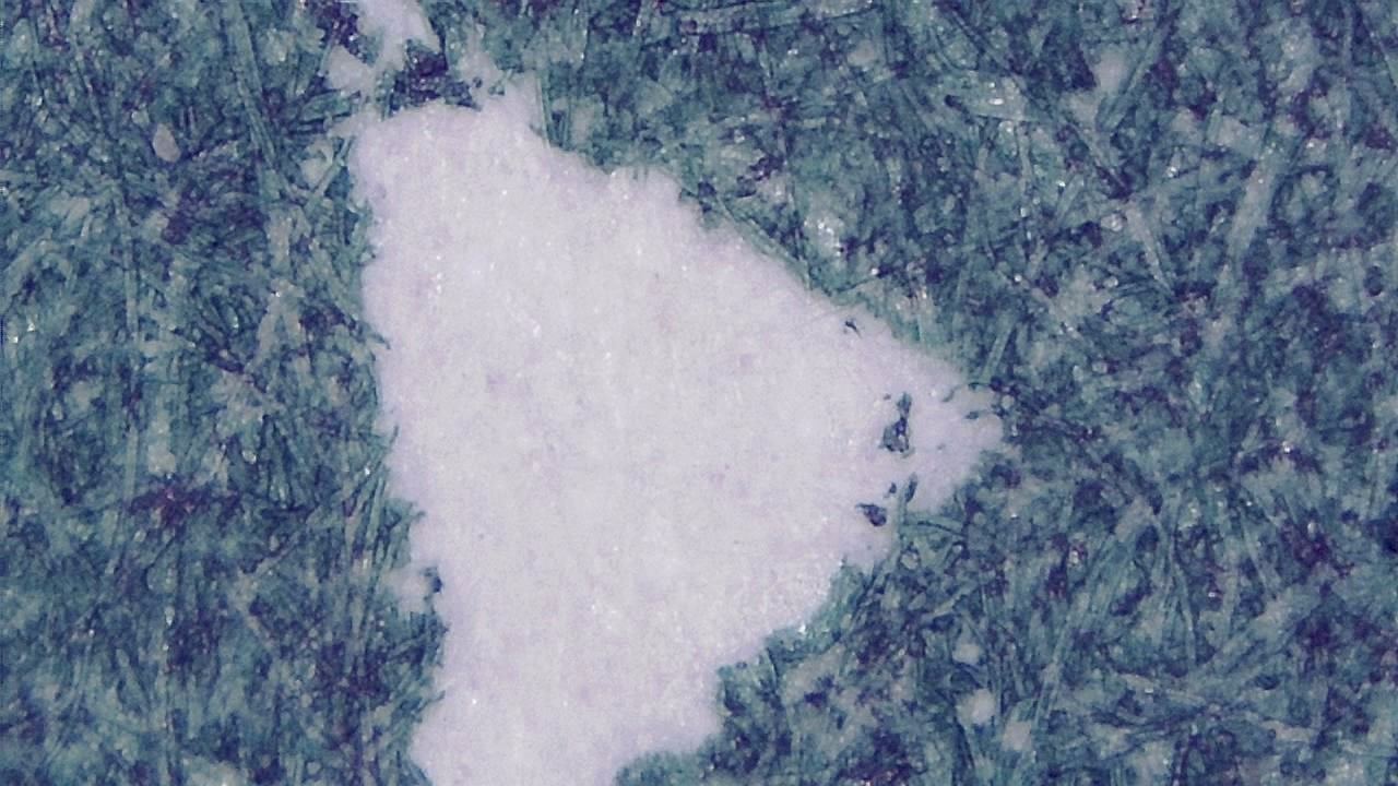 Print Inspection and Surface Quality Control microscopy sample image 10