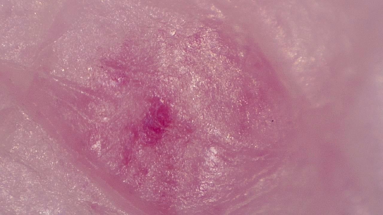 Advanced Aesthetics and Cosmetology microscopy sample image 8