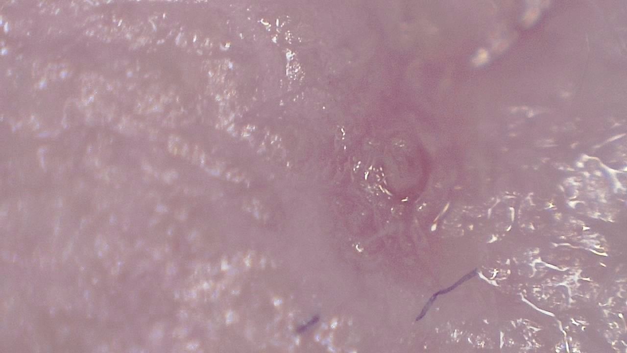 Advanced Aesthetics and Cosmetology microscopy sample image 11