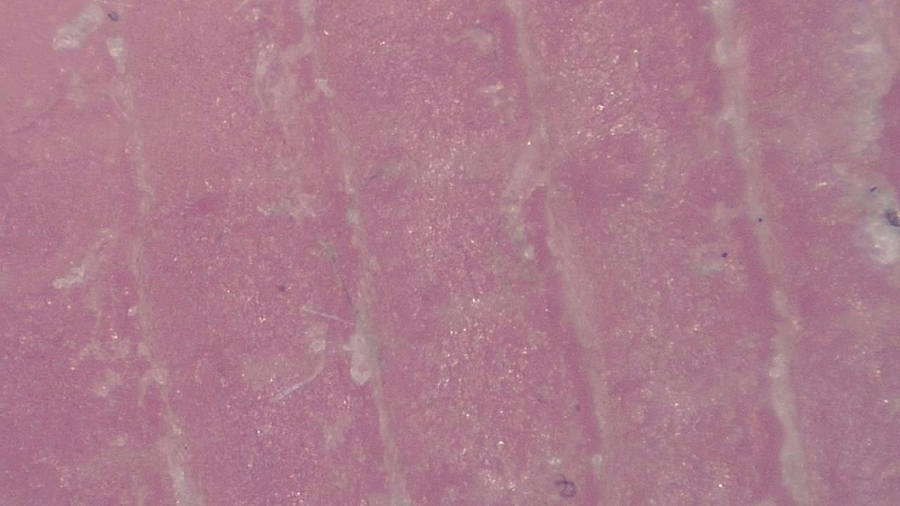 Advanced Aesthetics and Cosmetology microscopy sample image 17